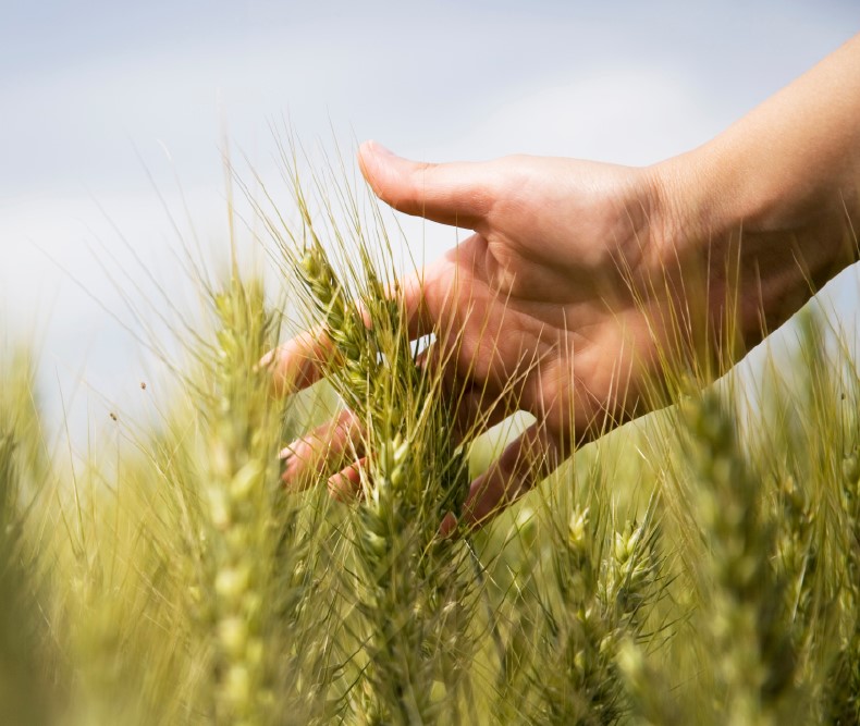 Food For Generations