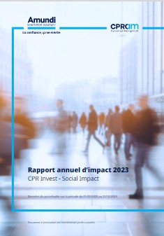rapport d'impact