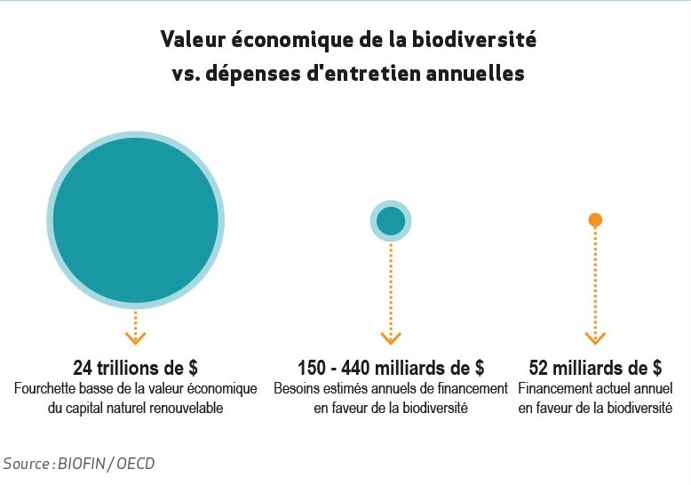 biodiversité