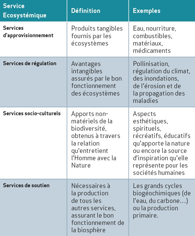 service écosystémique